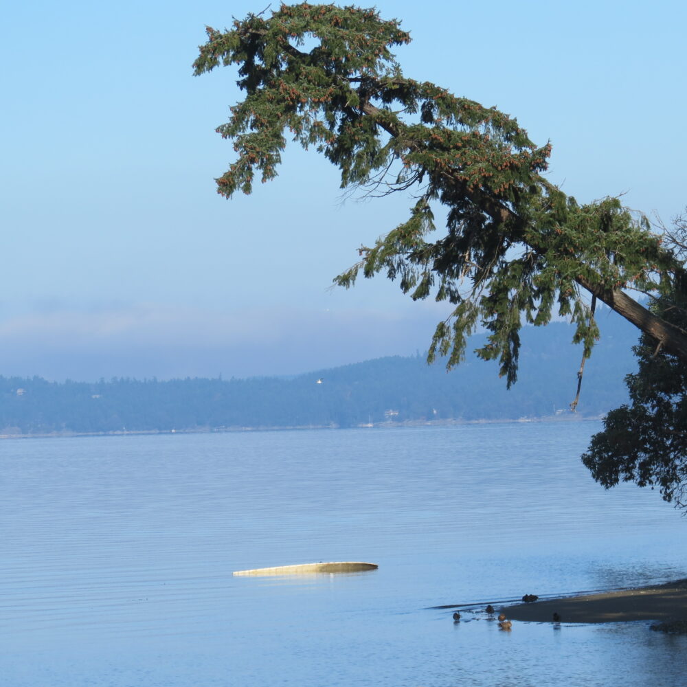 view of Salt Spring iisland from Crofton Beach